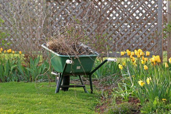 Flower Bed Cleanup Service in North Tonawanda