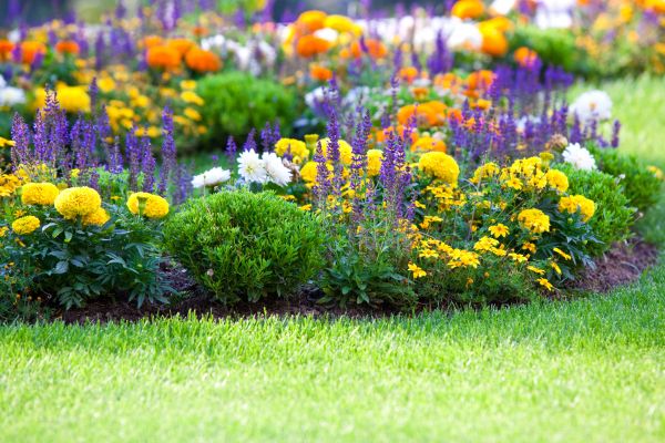 Flower Bed Maintenance in North Tonawanda