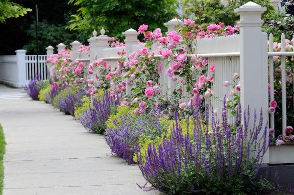 Garden Handyman Service in North Tonawanda