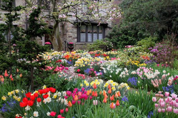 Garden Maintenance Service in North Tonawanda
