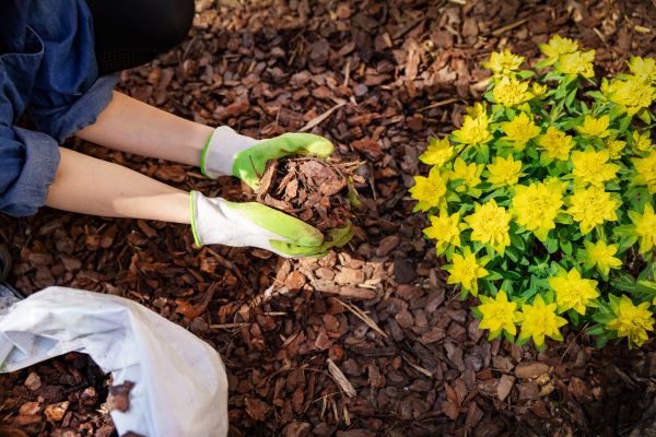 Pine Bark Delivery in North Tonawanda