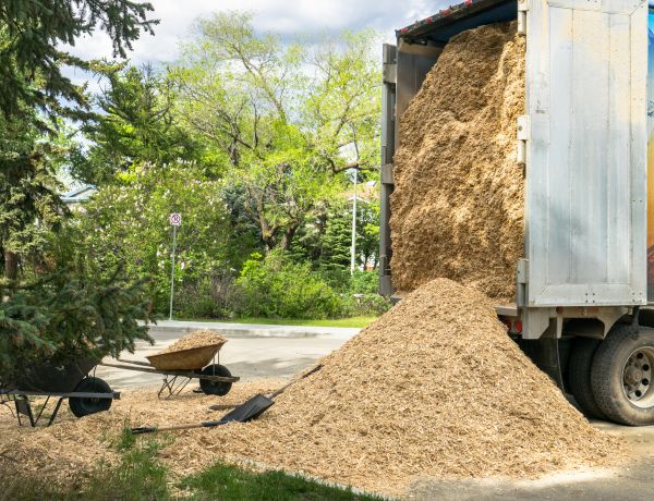 Wood Chips Delivery in North Tonawanda