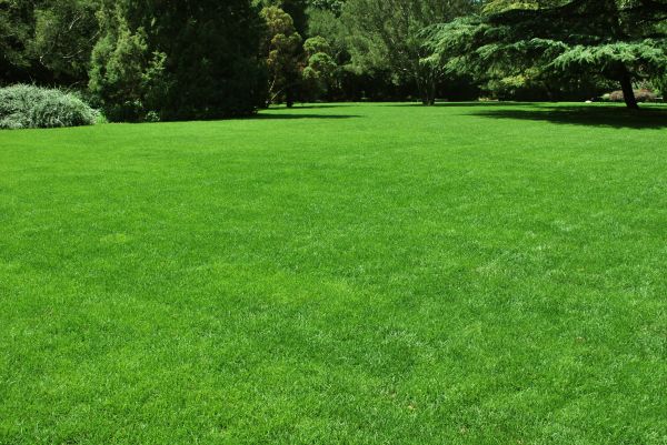 Lawn Landscaping in North Tonawanda