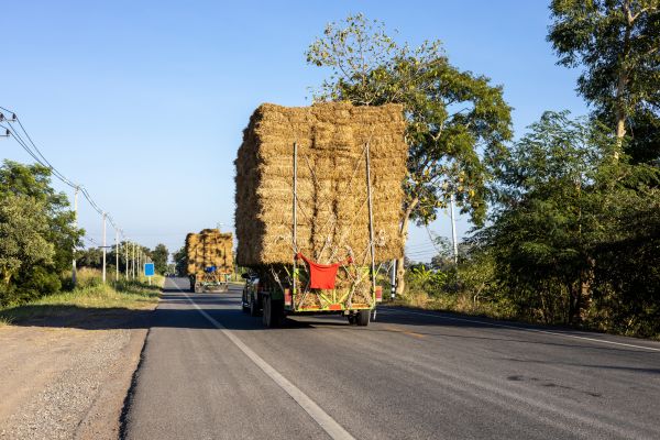 Pine Straw Delivery in North Tonawanda
