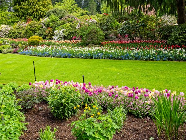 Residential Landscape Design in North Tonawanda