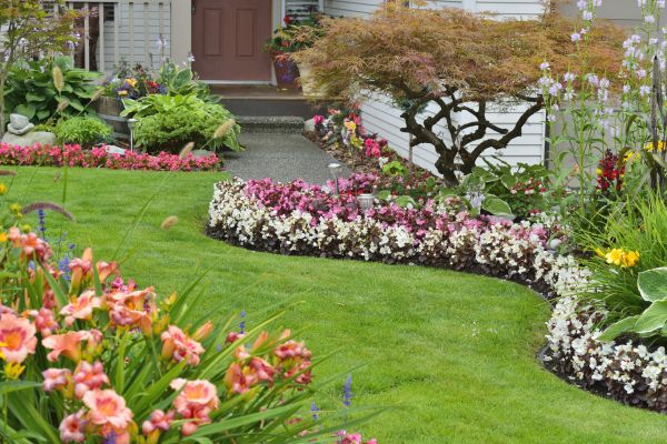 Perennial Landscaping in North Tonawanda