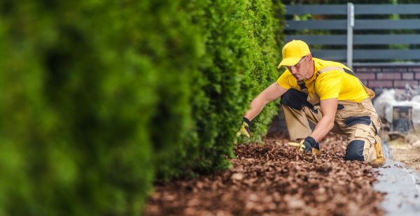 Cypress Mulch Installation in North Tonawanda