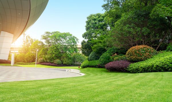 Business Landscape Design in North Tonawanda