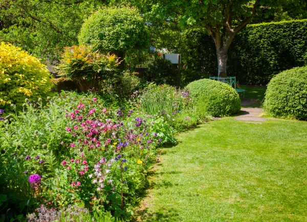 Yard Landscaping Service in North Tonawanda