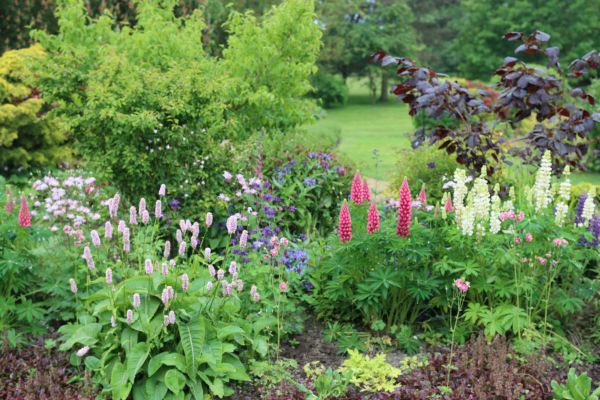 Flower Bed Planting in North Tonawanda