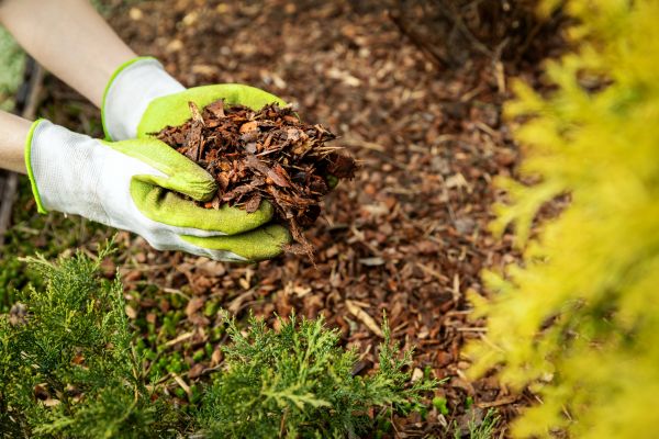 Garden Mulch Delivery in North Tonawanda