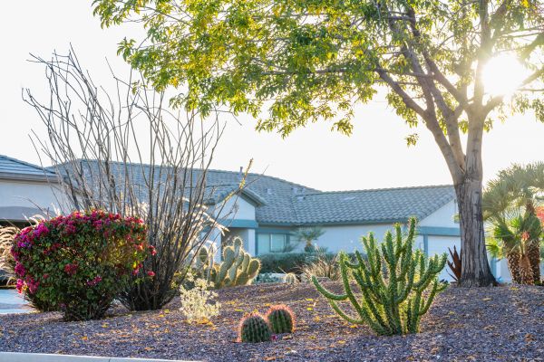 Dryscape Landscaping in North Tonawanda