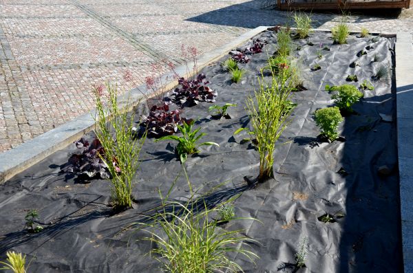 Landscape Fabric Installation in North Tonawanda