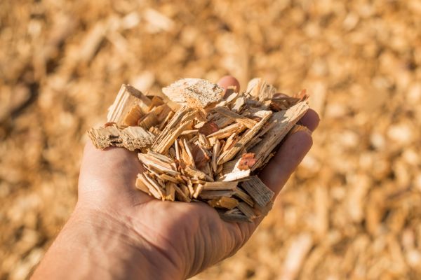 Wood Chips Spreading in North Tonawanda