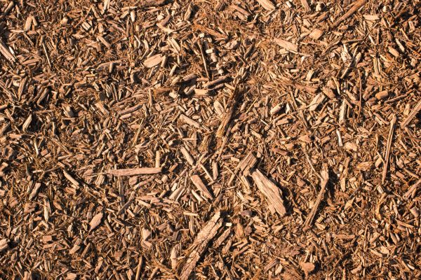 Wood Chips Removal in North Tonawanda