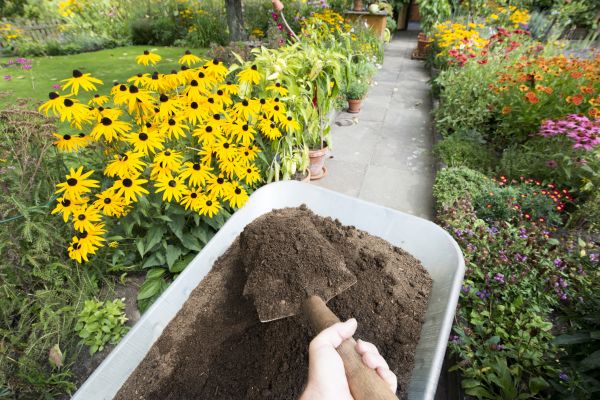 Topsoil Replacement in North Tonawanda