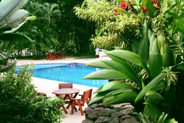 Pool Area Landscaping in North Tonawanda