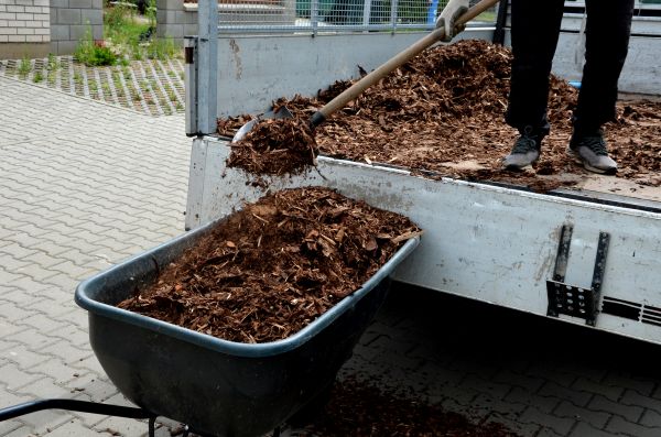 Cedar Mulch Delivery in North Tonawanda