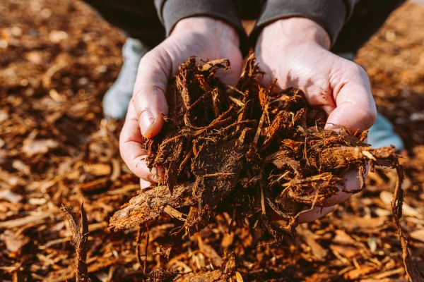 Bark Chips Delivery in North Tonawanda
