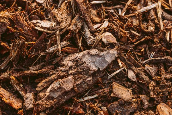 Bark Mulch Delivery in North Tonawanda
