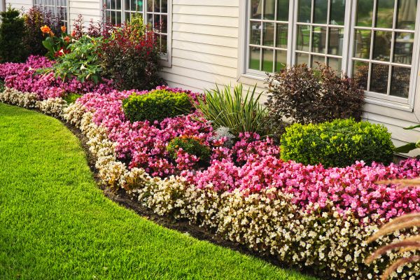 House Landscaping in North Tonawanda
