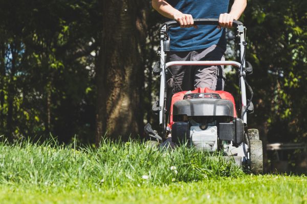 Garden Trimming Service in North Tonawanda