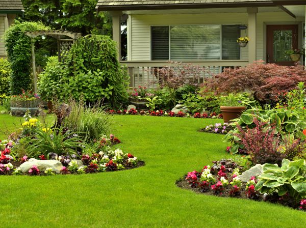 Flower Garden Planting in North Tonawanda