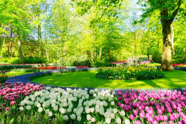 Flower Landscaping in North Tonawanda