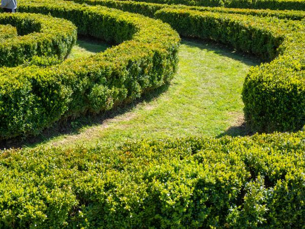 Bush Landscaping in North Tonawanda