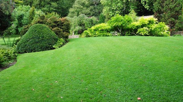 Commercial Landscape Design in North Tonawanda