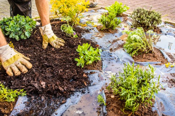 Mulch Fabric Installation in North Tonawanda