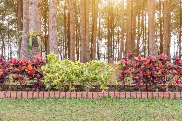 Small Garden Landscaping in North Tonawanda