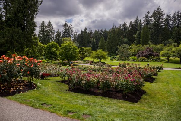 Flower Garden Landscaping in North Tonawanda