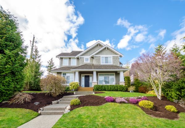 Landscaping Replacement in North Tonawanda