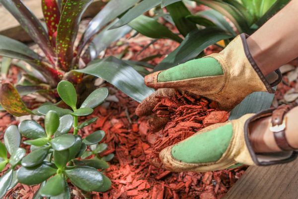 Residential Mulching in North Tonawanda