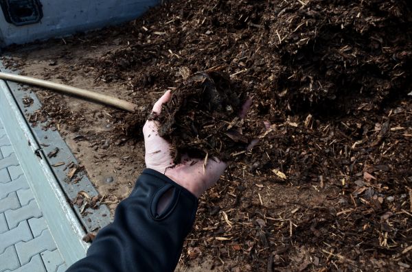 Condo Mulching in North Tonawanda