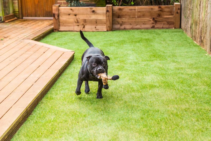 Pet Friendly Turf Installation